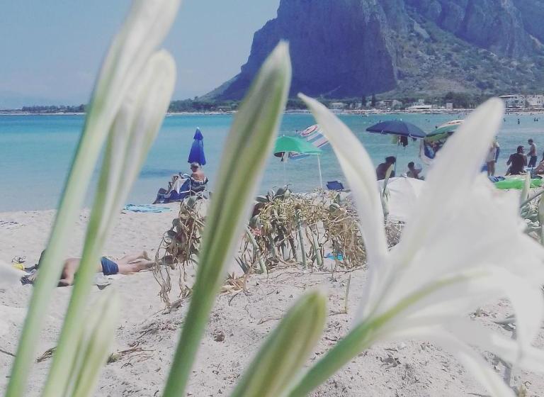 بنسيون A  Cavalera