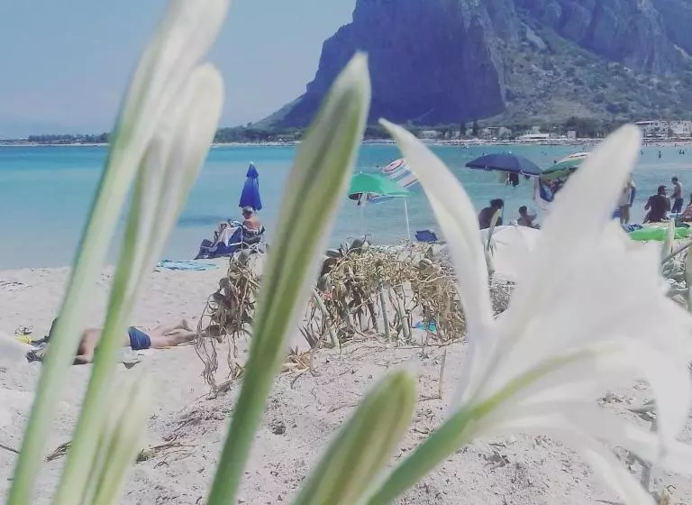 Majatalo A  Cavalera