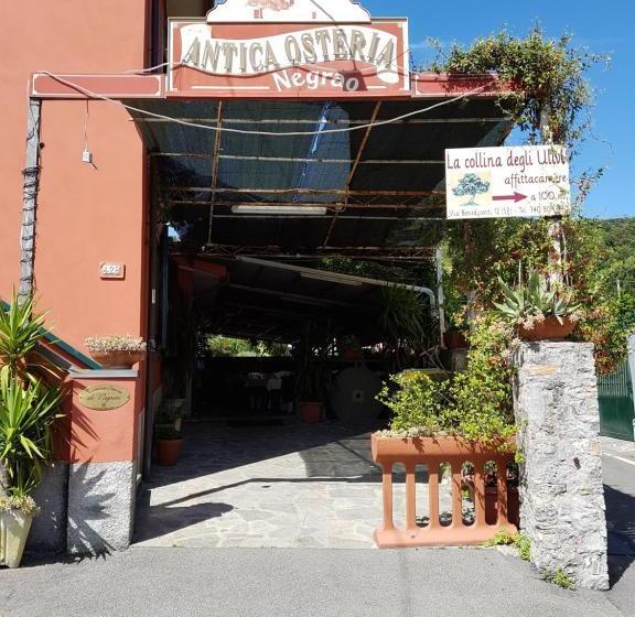 بنسيون Affittacamere La Collina Degli Ulivi