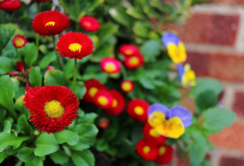 Pensjonat Borgo Dei Castelli