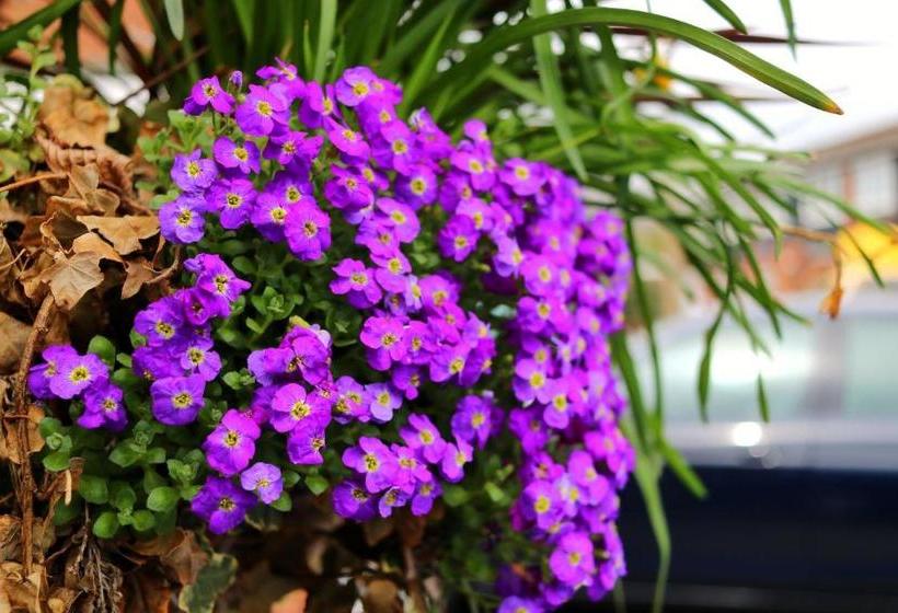 Pensjonat Borgo Dei Castelli