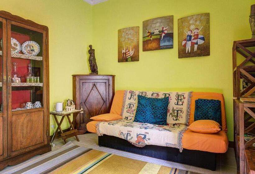 بنسيون Garden House