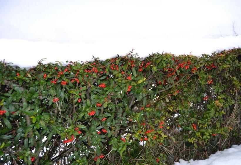 פנסיון Relais Borgo Del Gallo