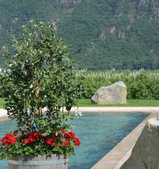 Пансион Villa Vera