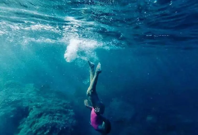 Barko Apartments & Suites