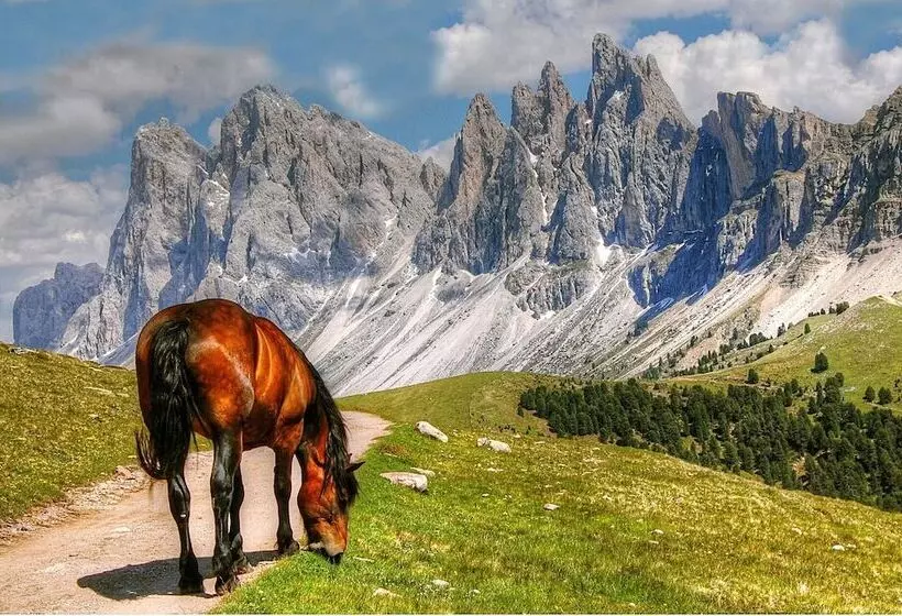 B&b La Tambra   Central With Restaurant