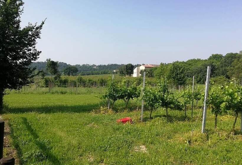 בית מלון כפרי Agriturismo Cascina Roveri