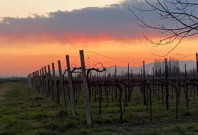 ホテル Agriturismo Richeton