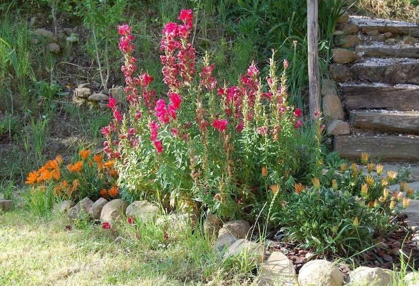 酒店 Agriturismo Spa Serpanera