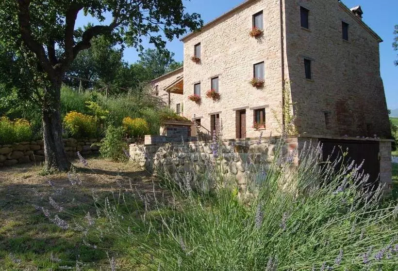 ホテル Agriturismo Spa Serpanera