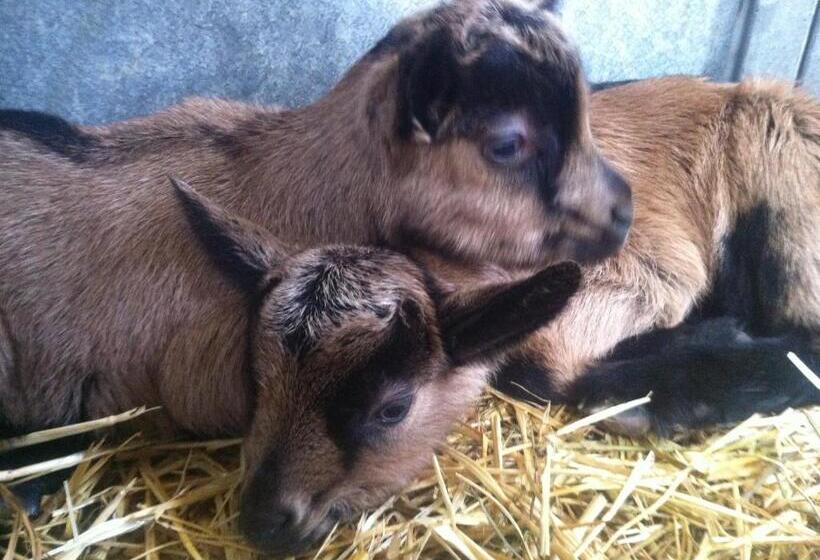 酒店 Agriturismo Spa Serpanera