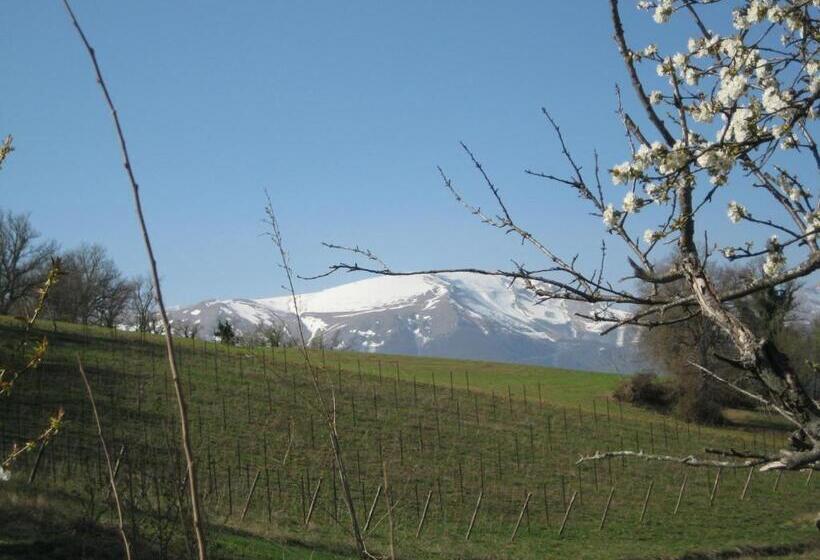 酒店 Agriturismo Spa Serpanera