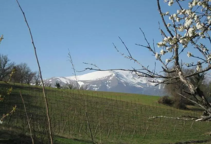 ホテル Agriturismo Spa Serpanera