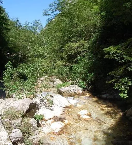ホテル Agriturismo Spa Serpanera