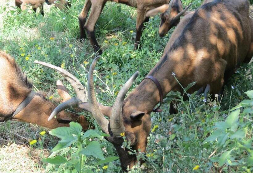 酒店 Agriturismo Spa Serpanera