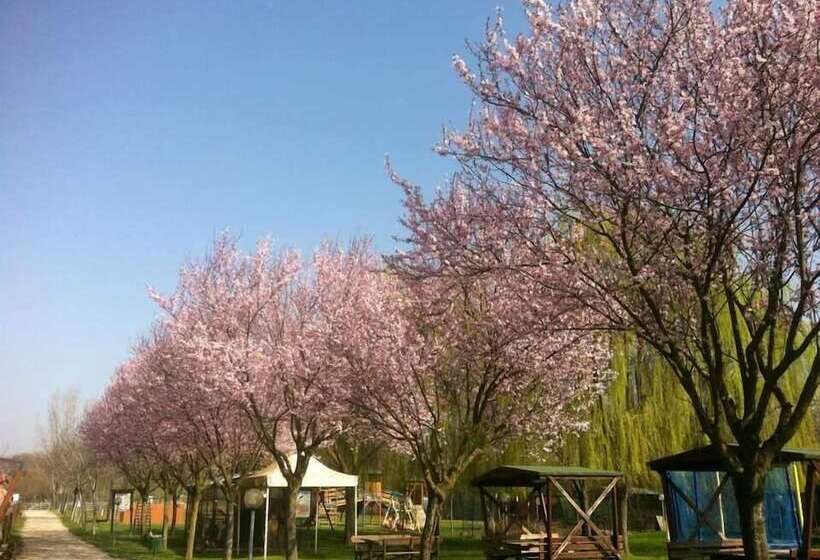 בית מלון כפרי Agriturismo Tre Rondini