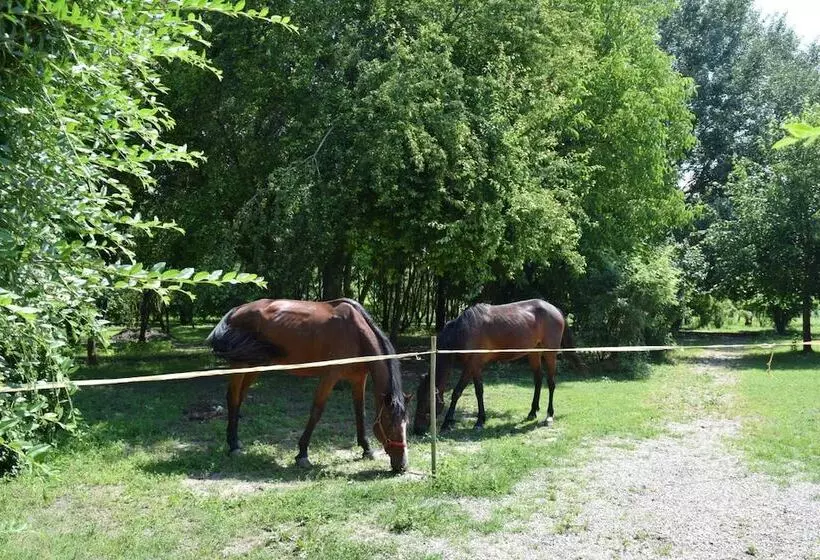 Hotelli Agriturismo Tre Rondini