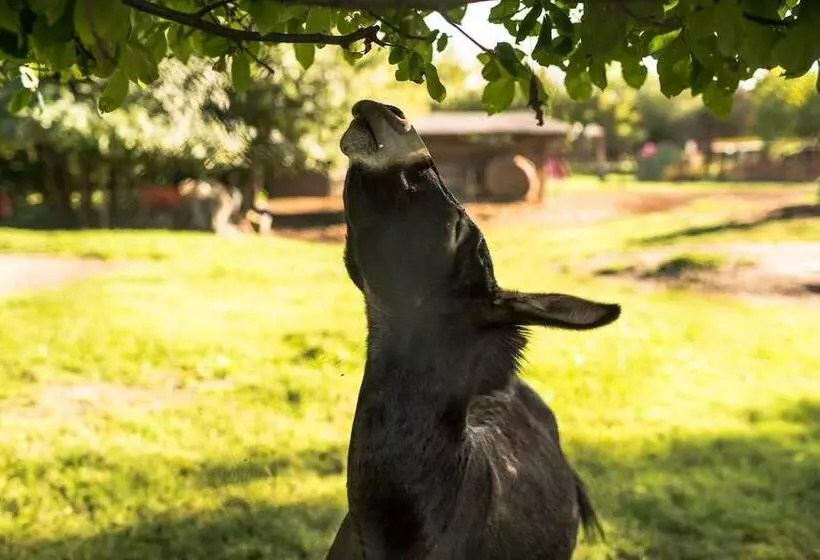 Hotelli Agriturismo Tre Rondini