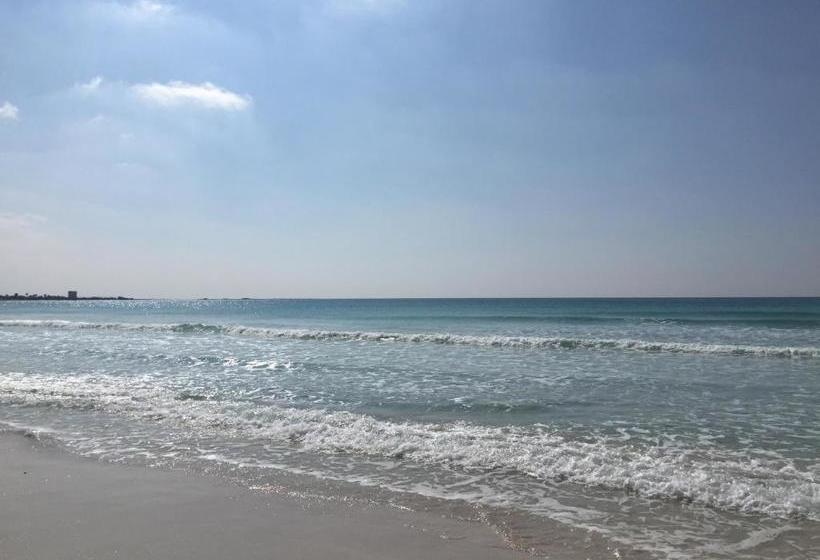 펜션 Affittacamere Torre Lapillo