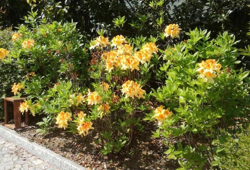 پانسیون Cascina Nel Bosco