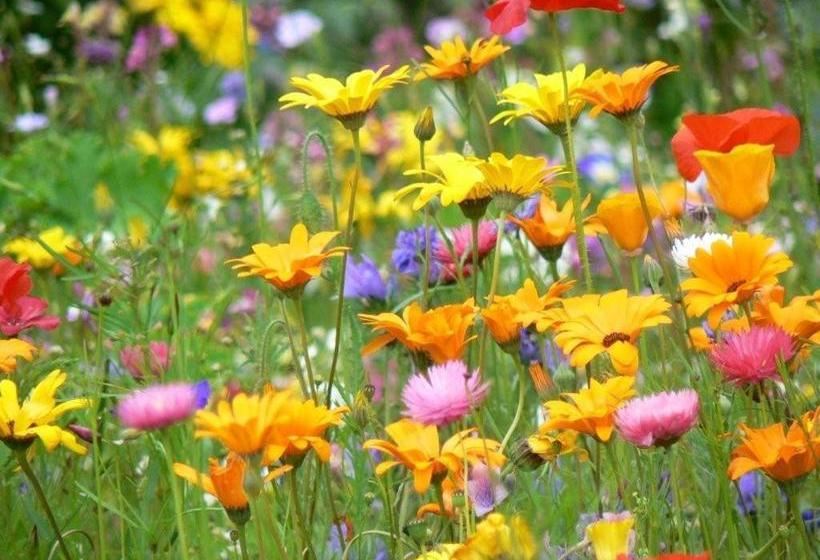 Пансион Josefsheim