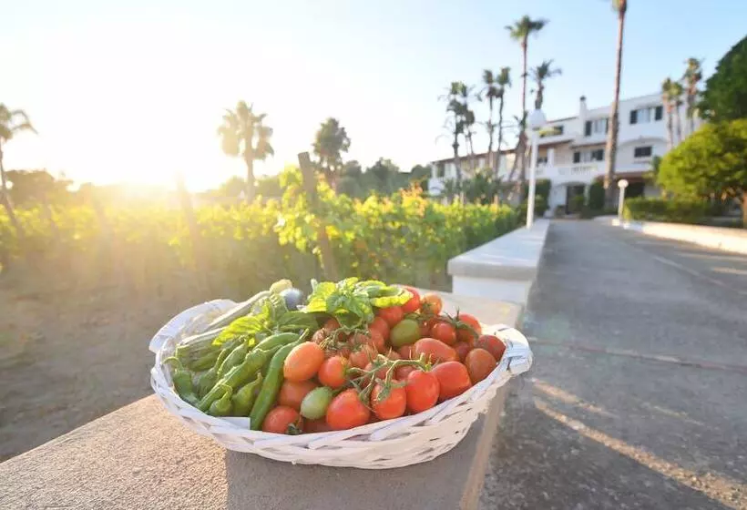 Residence San Domenico