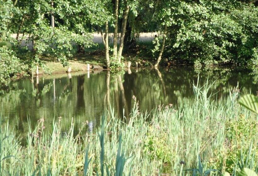 펜션 Chambre D Hôtes Domaine Des Patrus