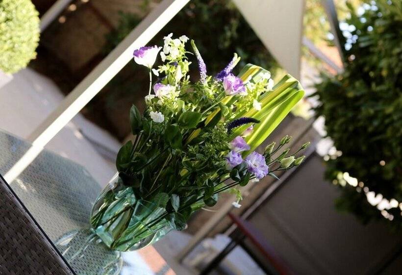 پانسیون Du Côté De Chez Jos