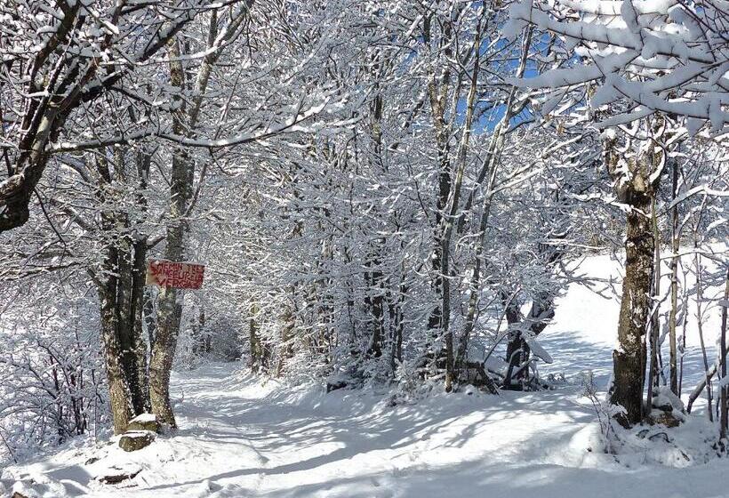 پانسیون La Bousquetière