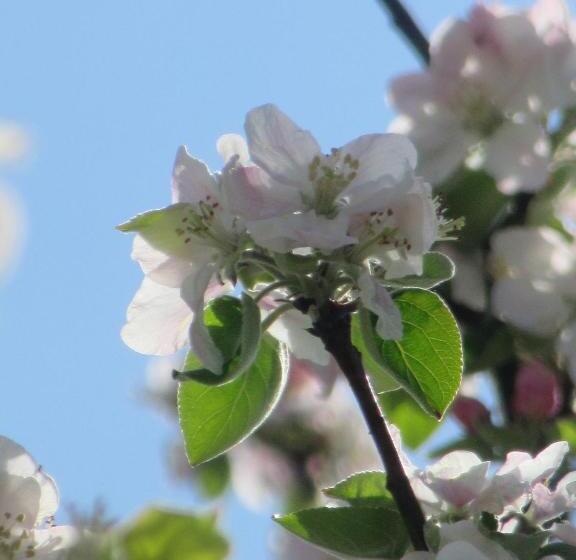 펜션 Le Clos Lauradière