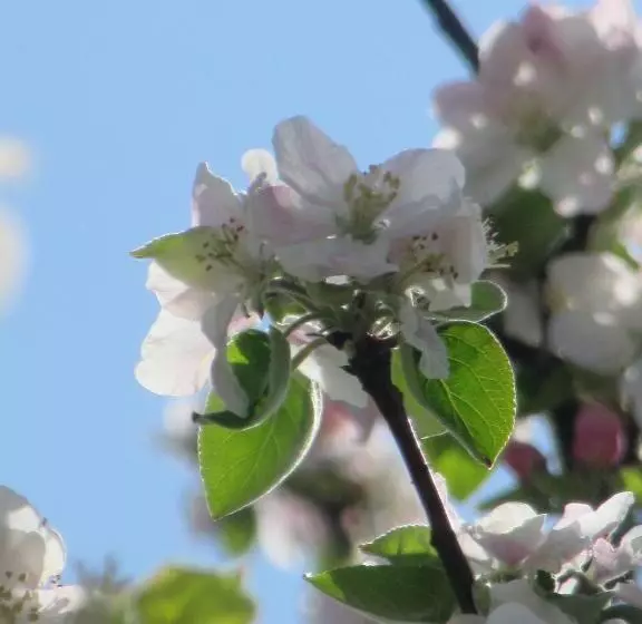 Majatalo Le Clos Lauradière