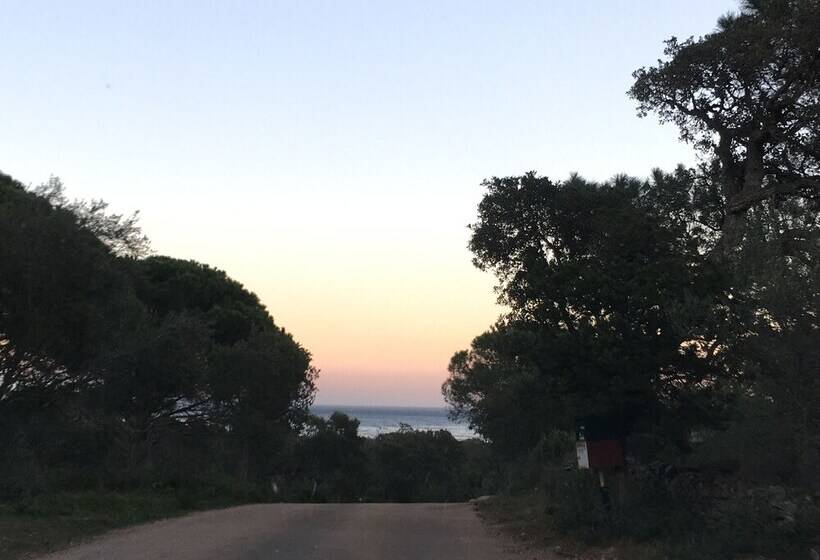 تختخواب و صبحانه Restaurant Chambres D Hôtes Terra Bella Lecci