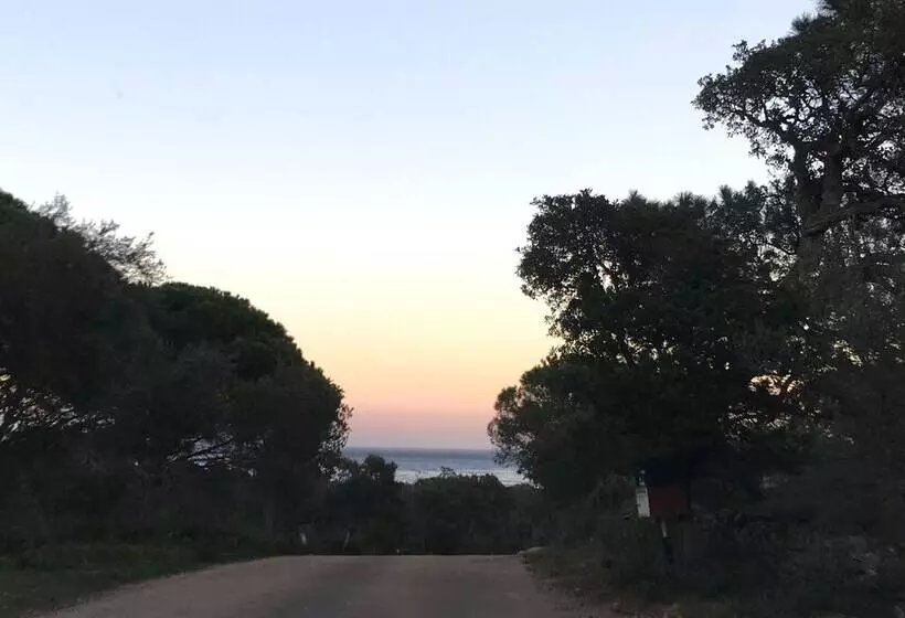 Aamiaismajoitus (B&B) Restaurant   Chambres D Hôtes Terra Bella Lecci