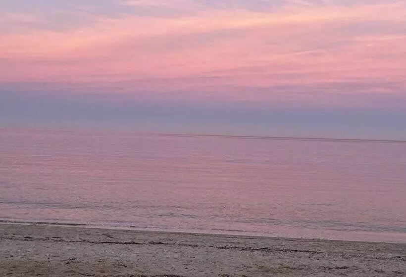 Aamiaismajoitus (B&B) Restaurant   Chambres D Hôtes Terra Bella Lecci