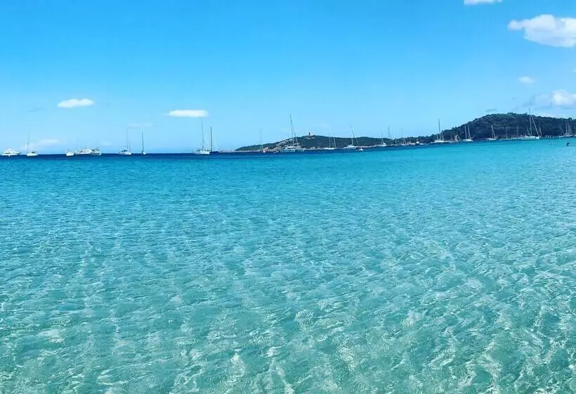 Aamiaismajoitus (B&B) Restaurant   Chambres D Hôtes Terra Bella Lecci