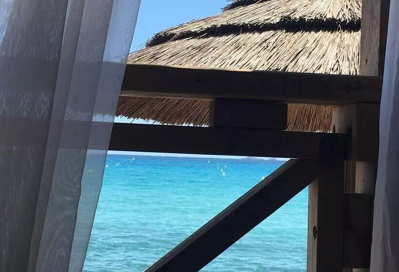 Aamiaismajoitus (B&B) Restaurant   Chambres D Hôtes Terra Bella Lecci