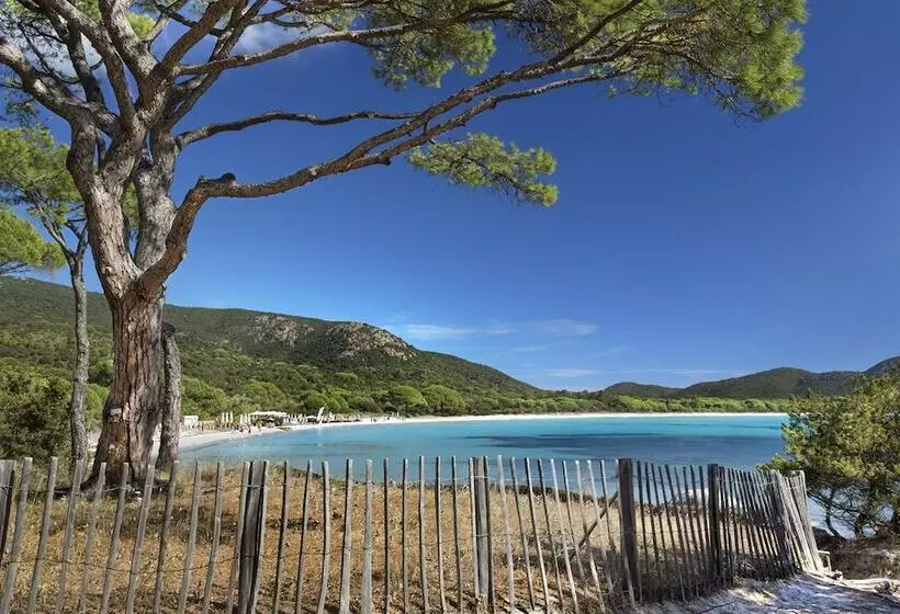 Aamiaismajoitus (B&B) Restaurant   Chambres D Hôtes Terra Bella Lecci