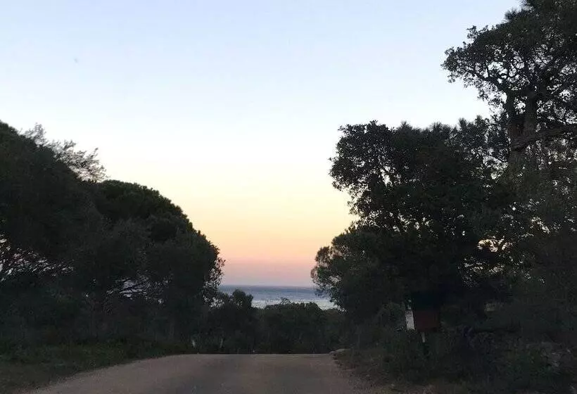 Aamiaismajoitus (B&B) Restaurant   Chambres D Hôtes Terra Bella Lecci