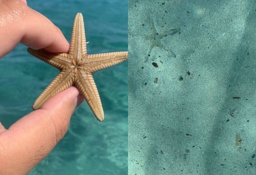 تختخواب و صبحانه Restaurant Chambres D Hôtes Terra Bella Lecci