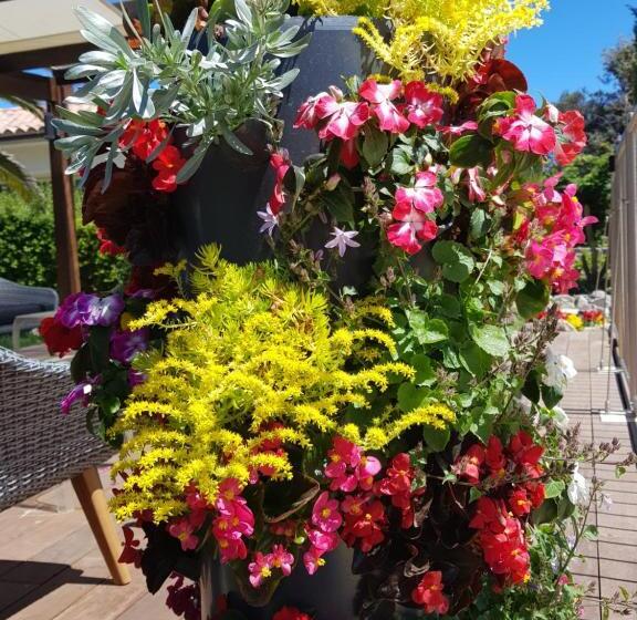 هتل Poisson Rouge