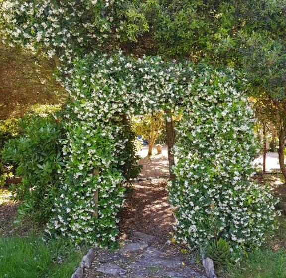 هتل Poisson Rouge