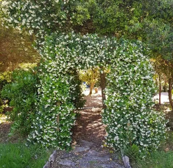 هتل Poisson Rouge