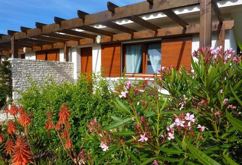 هتل Poisson Rouge