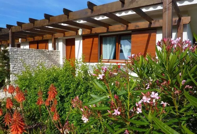 هتل Poisson Rouge