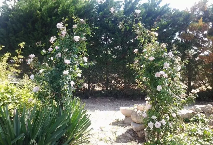 Majatalo Aux Roses De L Etang