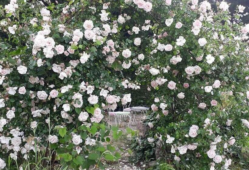 פנסיון Aux Roses De L Etang