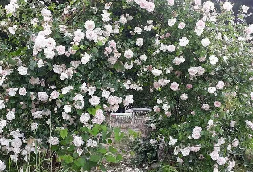 Majatalo Aux Roses De L Etang