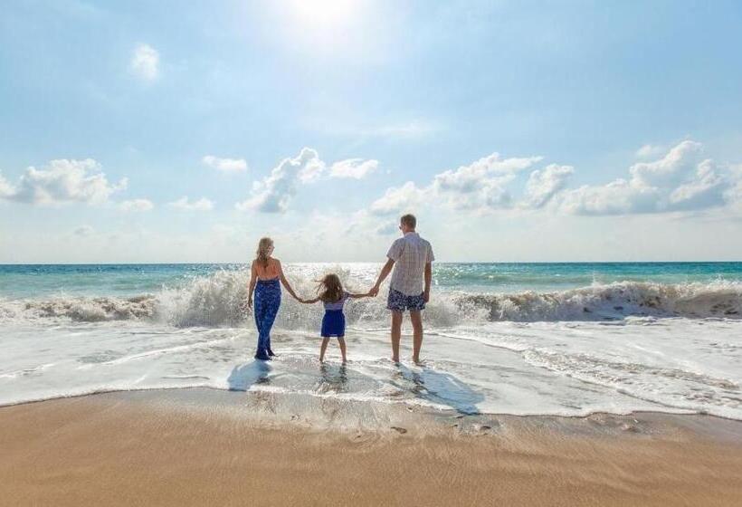 بنسيون Résidence Fleur Des Pins   Gites & Chambres D Hôtes