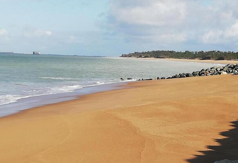 بنسيون Résidence Fleur Des Pins   Gites & Chambres D Hôtes