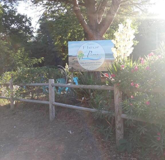 بنسيون Résidence Fleur Des Pins   Gites & Chambres D Hôtes